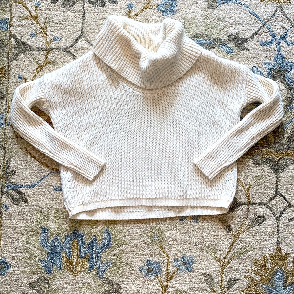 Express chunky knitted turtleneck sweater